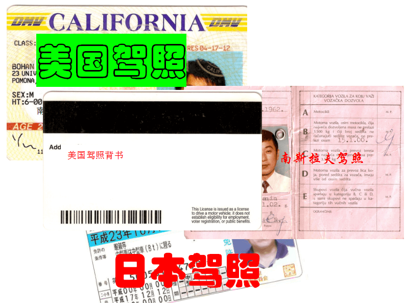 國外駕照翻譯，國外駕駛證翻譯公司